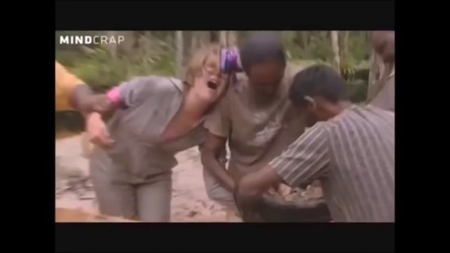 Анаконда и человек видео смотреть онлайн