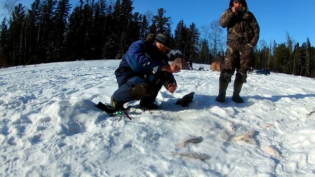 рыбалка с друзьями.супер клев сороги .ночевка в палатке уп 2 с пошехонкой в -30. смотреть онлайн