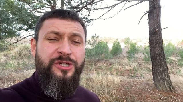 Получившая удар в живот от полицейского на акции в Петербурге обратится в Следственный комитет смотреть онлайн