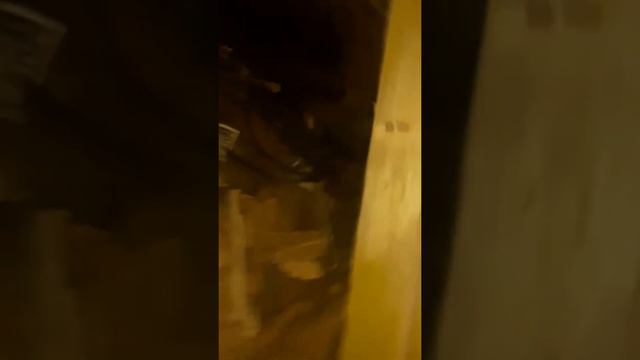 Чёрт в сарае! смотреть онлайн