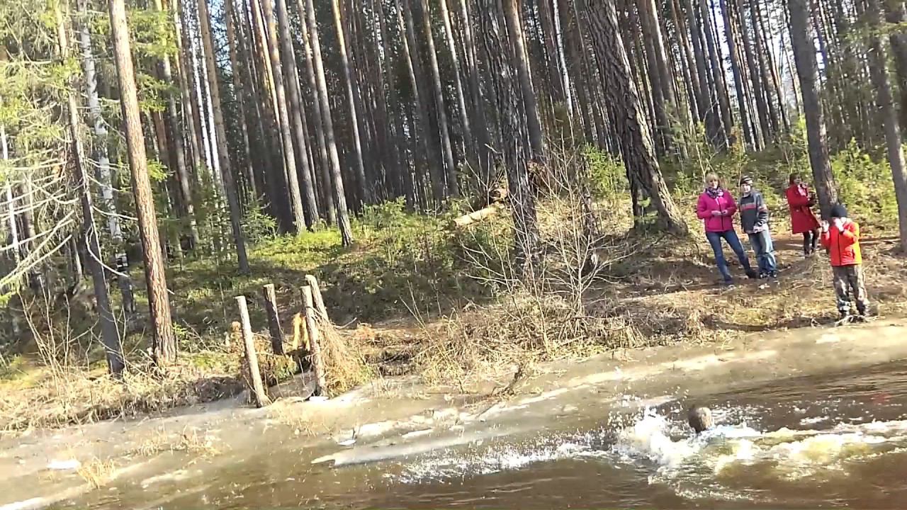 Карапчанка 2017 г. Саня купается. смотреть онлайн