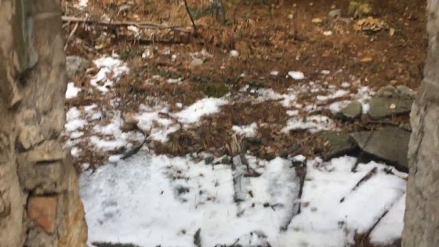 Заброшенный дом по дороге на гору Ай-Петри.Крым. смотреть онлайн