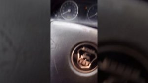 Намотка километража газель бизнес