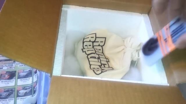 Unboxing New Addition To My Ball Python Family 11-14-12 смотреть онлайн