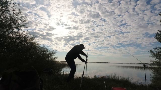 Рыбалка на реке Меша с ночевкой. Ловля карася на фидер. смотреть онлайн