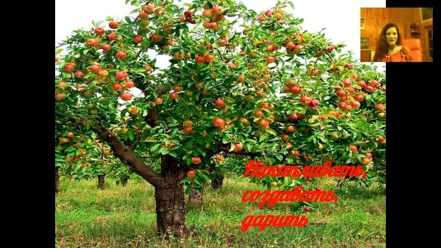 Практическое занятие по наполнению женской энергией смотреть онлайн