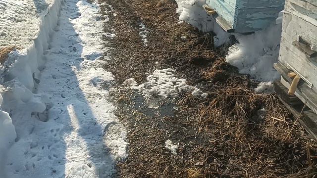 Ответ на комментарий о качестве... смотреть онлайн