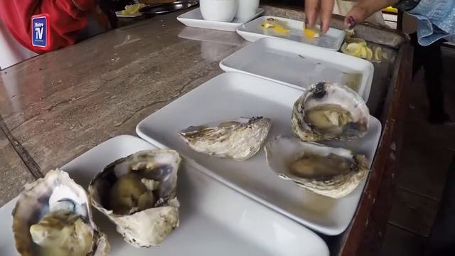 Pelancongan Kedah - Tourism Malaysia Kedah - Best Oyster In Merbok Kedah, Malaysia смотреть онлайн