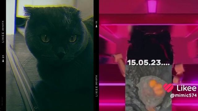 ЛЕТО БЫСТРЕЕ смотреть онлайн