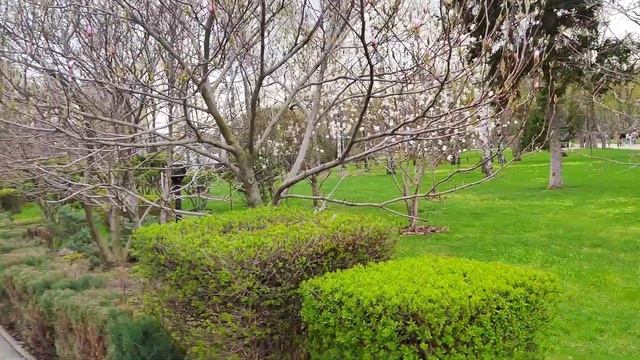 Kharkiv Харьков Танцы сегодня закончились 15.04.2023 смотреть онлайн