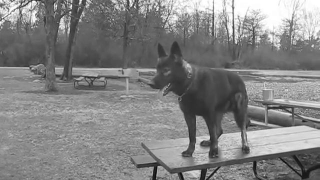 Remy Ze Služebník Domu Table Training смотреть онлайн