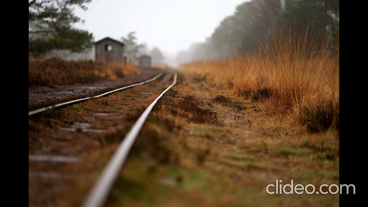 последние трамваи смотреть онлайн