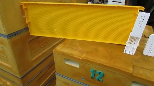 ответы на вопросы по рамкам с пластиковой вощиной, 3 день акции на фирме BienenHaus