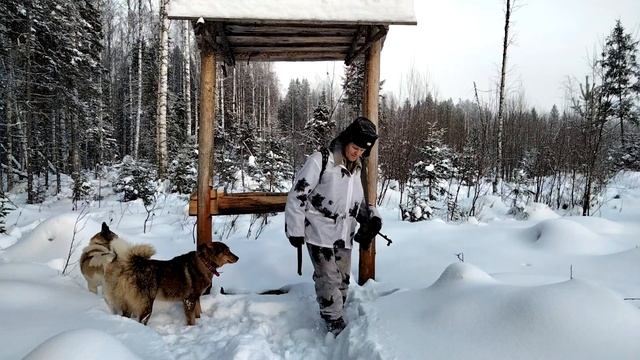 Охота на волка. Мои пожелания