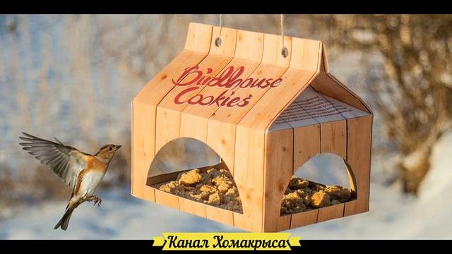 Кормушка для птиц своими руками Как сделать кормушку для птиц Кормушки для птиц синиц Идеи кормуше смотреть онлайн