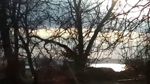 Мама пяти кошек из Запорожья . Хвостатые помощники рукодельницы . Джек и Лапа скоро поедут домой ! смотреть онлайн