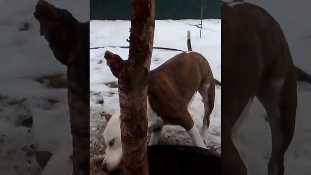 Бучик смотреть онлайн