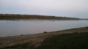 РЕЗИНКА ЛОВИТ ЛЮБУЮ РЫБУ В САМЫЙ НЕ КЛЕВЫЙ ДЕНЬ! ОБЪ АВГУСТ 2023г.