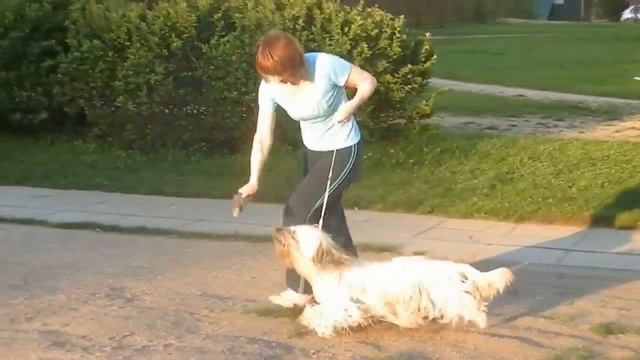 Лаки. Движения(замедленно х4) смотреть онлайн