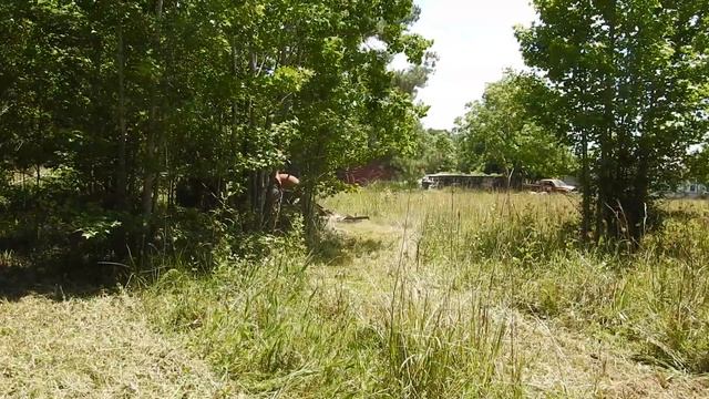 Bush Hog Taking out Trees смотреть онлайн