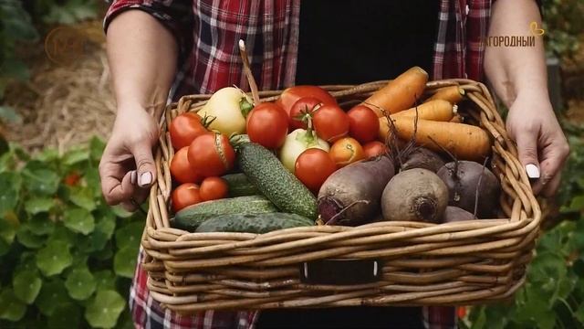 Ландшафтный дизайн - это просто. Сезон 2. Анонс. Канал Загородный. смотреть онлайн