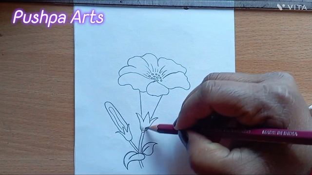 How to draw a flower || Drawing flower || Flower sketch|| pencil art #trending #flowers смотреть онлайн