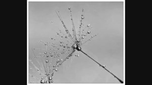 Серебро Господа Моего