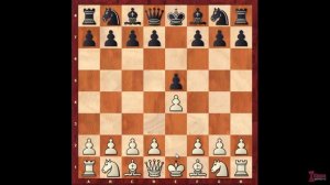 Три правила дебюта в шахматах