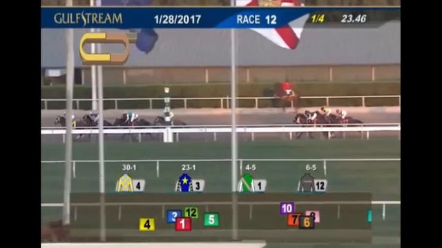 САМАЯ ДОРОГАЯ СКАЧКА В МИРЕ! PEGASUS WORLD CUP смотреть онлайн