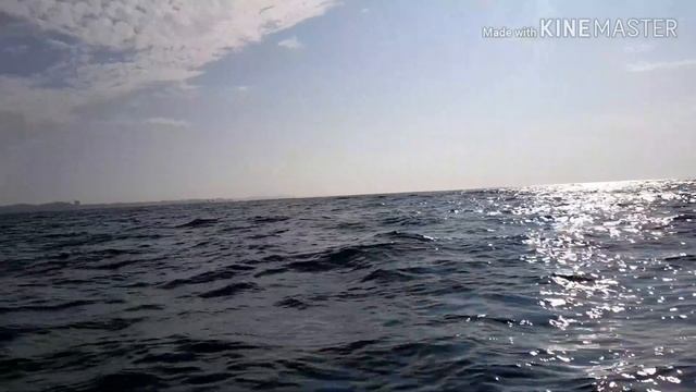 Рыбалка на тунца в Мириссе, Шри Ланка, февраль 2020г смотреть онлайн