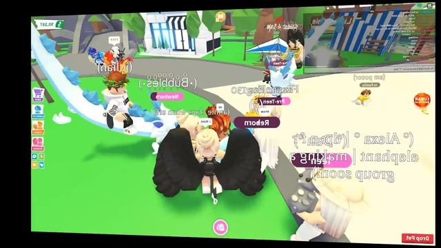 ASKING PEOPLE THE VALUE OF PETS AS A NOOB In Adopt Me (Exposing Scammers)