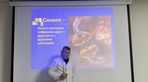 Рефлекторная дуга. Рецепторы. Анатомия человека