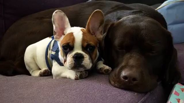 Канал самых лучших русских новинок и фото 2015 смотреть онлайн