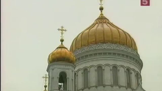Девушка с курицей в бешеном влагалище mp4 смотреть онлайн