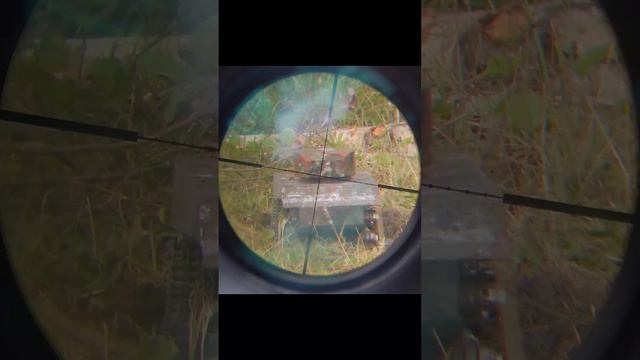 RC Tank Bounces 12g Slug and .223 Incendiary Tracers смотреть онлайн