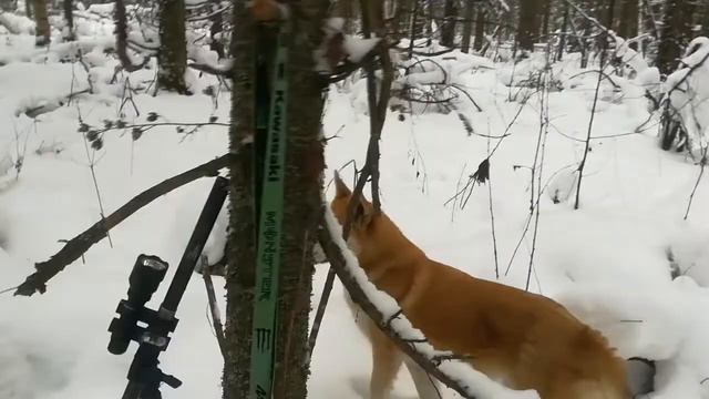 Итог нашего фарта. смотреть онлайн