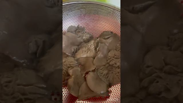 Жареные грибы синеножка, рядовка  лиловоногая с луком в сметане