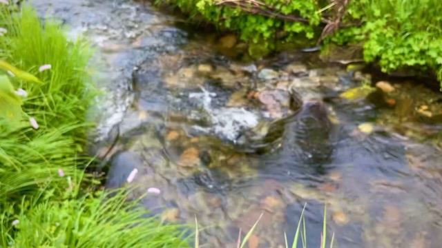 Southern Siberia travel | Путешествие по южной Сибири смотреть онлайн