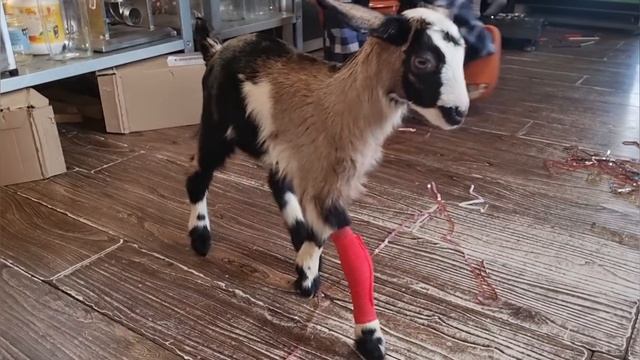 Наши будни , от погоды головная боль смотреть онлайн