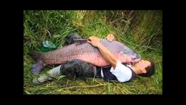 активатор клева заказать смотреть онлайн