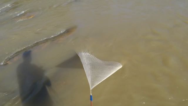 Такой рыбалки в России ещё не видели .Самая уловистая снасть .Кастинговая сеть смотреть онлайн