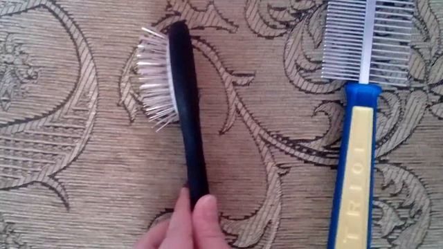 Необходимые вещи для жизни щенка ! смотреть онлайн