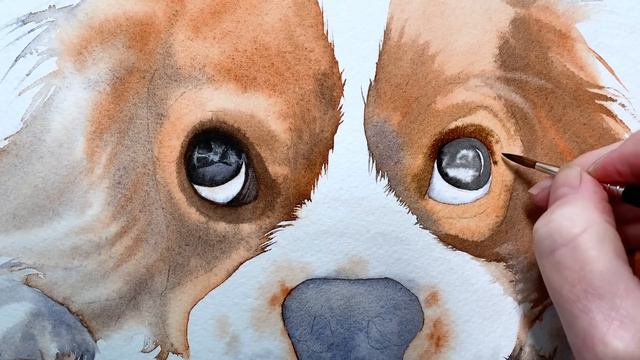 Techniques for painting a Cavalier King Charles Spaniel in watercolor смотреть онлайн