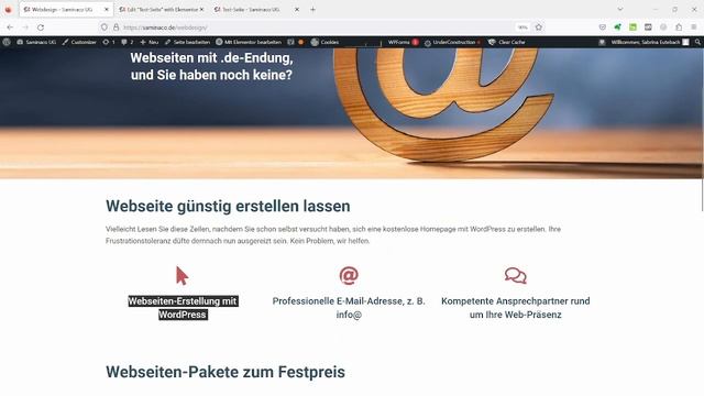 Wordpress-Seite Schritt für Schritt mit Elementor und OceanWP смотреть онлайн