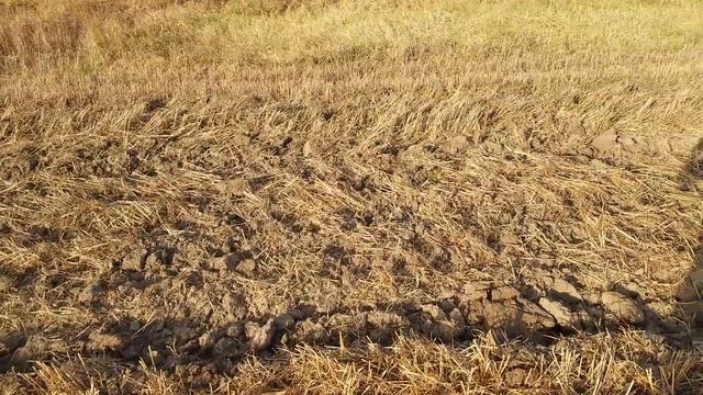 ПРОДЪЛБОЧИТЕЛ С ДИСКОВА СЕКЦИЯ смотреть онлайн