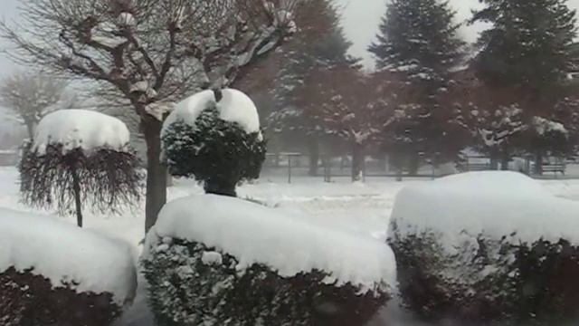 Zima 2010 - 02 Grudzień- смотреть онлайн