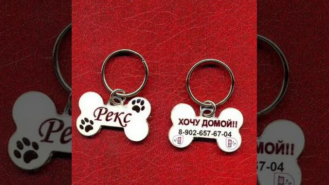 Собачки! смотреть онлайн