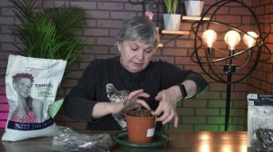 Лучшее что можно посадить в тени ✔️ Кочедыжник