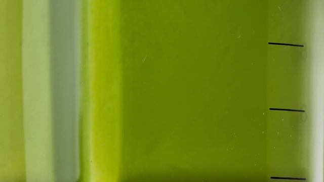 Best Blender of 2021 | Froothie Evolve - The Future of High Speed Blending смотреть онлайн