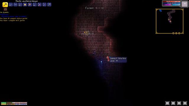 N-Terraria: Ep6 |Sac D'os!| - (fr)